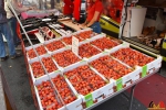 137 Gezellige Avondmarkt Essen 2019 - (c) Noordernieuws.be - (c) Noordernieuws.be 2019 - HDB_7700
