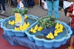 140 Gezellige Avondmarkt Essen 2019 - (c) Noordernieuws.be - (c) Noordernieuws.be 2019 - HDB_7703