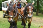 113 Sint-Sebastiaansgilde Essen viert 500 jarig bestaan - (c) Noordernieuws.be 2018 - HDB_7518