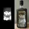 Nancy-Luijks-ArtByNans-Art-in-a-Bottle-inCollage-Cat