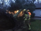 Boom waait om door storm en valt op woning4