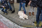 carnavalsstoet-essen-2016-noordernieuws-055