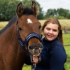 Katrin-Ferret-Fotografie-Essen-Noordernieuws.be-2022-P-2020-10-Natcho-20-1