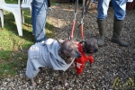 10 Canina - Wandeldag en Rommelmarkt - ©Noordernieuws - DSC_3292