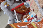 Vrolijke-stoet-kleurt-straten-Mariaberg-Kloosterstraat-Essen-kindercarnaval-2025-107