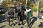 023 Sinterklaas - Intocht Essen-Heikant -  (c) Noordernieuws.be 2018 - HDB_0606