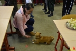 118 Leerlingen Freinetschool Essen vieren hondje Lewis 3 jaar - (c) Noordernieuws.be 2019 - HDB_2070