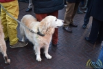 034 Nieuwjaarsreceptie Heuvelplein - Gemeente Essen - 2017 - (c)Noordernieuws.be - DSC_5171