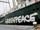 111 Greenpeace - Rainbow Warrior doet Antwerpen aan - (c) Noordernieuws.be - 11
