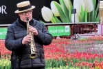 116 Vandaag gratis Tulpenpluk met Suske en Wiske - Noordernieuws.be - 14