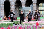 125 Vandaag gratis Tulpenpluk met Suske en Wiske - Noordernieuws.be - 23