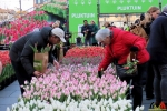 133 Vandaag gratis Tulpenpluk met Suske en Wiske - Noordernieuws.be - 31