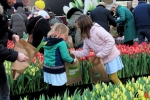 135 Vandaag gratis Tulpenpluk met Suske en Wiske - Noordernieuws.be - 33