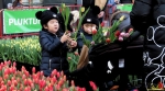 138 Vandaag gratis Tulpenpluk met Suske en Wiske - Noordernieuws.be - 36