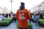 142 Vandaag gratis Tulpenpluk met Suske en Wiske - Noordernieuws.be - 40