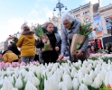 143 Vandaag gratis Tulpenpluk met Suske en Wiske - Noordernieuws.be - 41