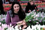 144 Vandaag gratis Tulpenpluk met Suske en Wiske - Noordernieuws.be - 42