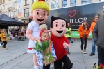 145 Vandaag gratis Tulpenpluk met Suske en Wiske - Noordernieuws.be - 43
