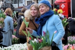149 Vandaag gratis Tulpenpluk met Suske en Wiske - Noordernieuws.be - 47