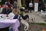 07 Dierenasiel Canina - Wandeldag en Rommelmarkt augustus 2018 - Essen - (c) Noordernieuws.be - HDB_8893