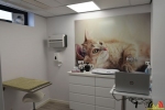 100 Dierenartsenpraktijk 't Hof - Ilse Castelijns - Opendeurdag Gold Status Cat Friendly Clinic 2019 - (c) Noordernieuws.be - HDB_2933
