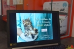 112 Dierenartsenpraktijk 't Hof - Ilse Castelijns - Opendeurdag Gold Status Cat Friendly Clinic 2019 - (c) Noordernieuws.be - HDB_2945