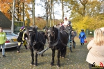 056 Intocht Sinterklaas Heikant Essen 2017 - (c)Noordernieuws.be - DSC_7385
