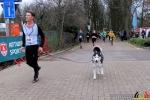 131 Warmathon Antwerpen trekt 8750 deelnemers - Noordernieuws.be 2019 - 38