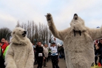 134 Warmathon Antwerpen trekt 8750 deelnemers - Noordernieuws.be 2019 - 41