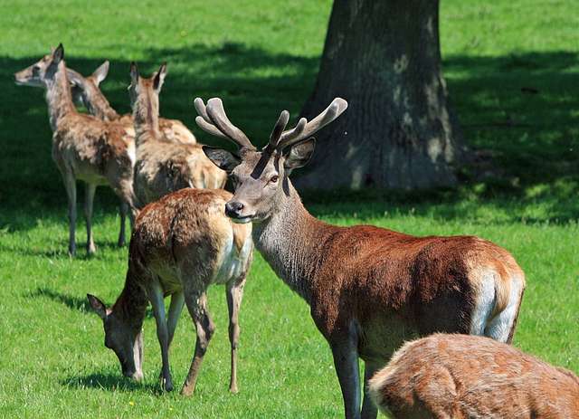 Wandeling langs Essense beemden