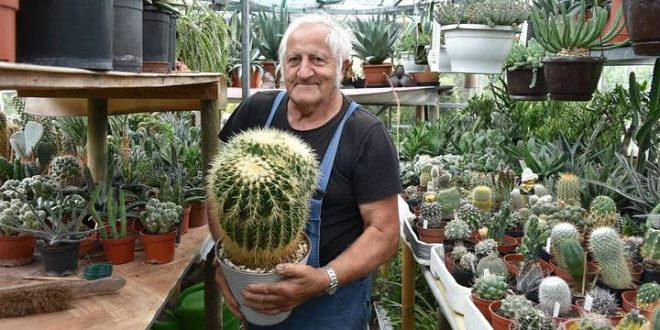 René Schenk wint 34ste bebloemingswedstrijd