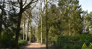 Bewoners woonbos Wildert afgestraft