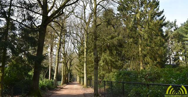 Bewoners woonbos Wildert afgestraft