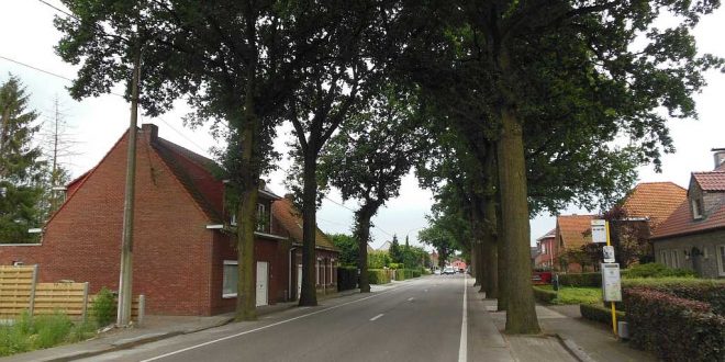 Inbraak Kalmthoutsesteenweg stond niet op zich