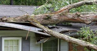 Stormschade en verzekering