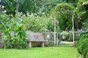 7 to-do’s voor je tuin in augustus
