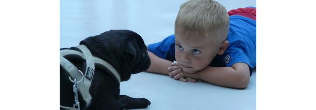 Kinderen en dieren echte liefde