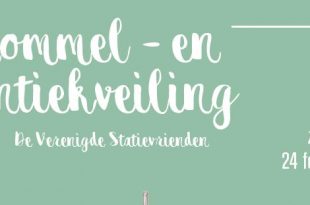 De Verenigde Statievrienden organiseert rommel- en antiekveiling