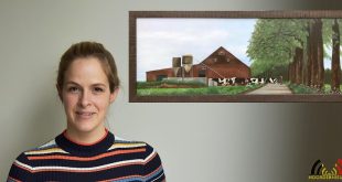 Chantal Bogers Schilderij Naar Huis