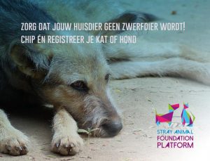 4 april Wereld Zwerfdierendag2