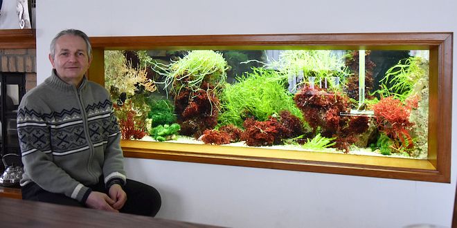 De bijzondere hobby van Piet Hectors - Zeepaardjes kweken - Zoutwater Aquarium