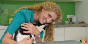 Ilse Castelijns - Dierenartsenpraktijk 't Hof - Gold Status Cat Friendly Clinic