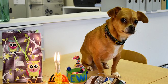 Leerlingen Freinetschool Essen vieren hondje Lewis 3 jaar - (c) Noordernieuws.be 2019 - HDB_2101 u2