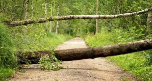 Mogelijk stormweer zondag 10 maart erkend als ramp