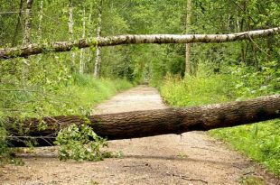 Mogelijk stormweer zondag 10 maart erkend als ramp