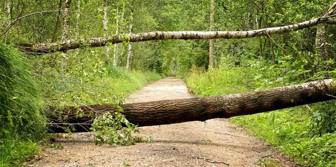 Mogelijk stormweer zondag 10 maart erkend als ramp