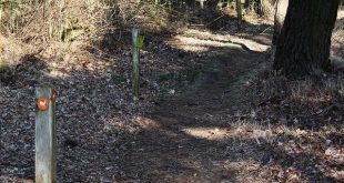 Nieuwe langeafstandsroute Ree van 24 km