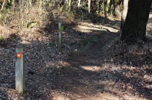 Nieuwe langeafstandsroute Ree van 24 km