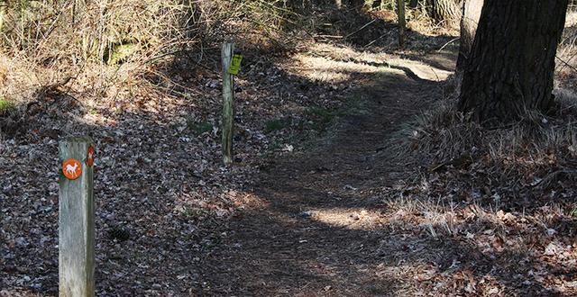 Nieuwe langeafstandsroute Ree van 24 km