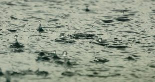 Zware regenval zomer 2018 erkend als ramp